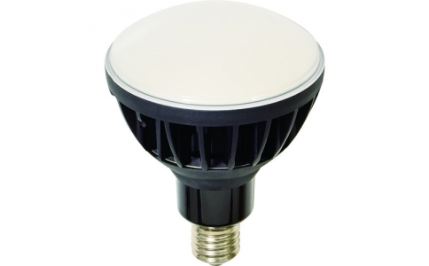 NICHIDO 日動  L50V2-J110BK-50KLED交換球高規(guī)格環(huán)保BIKU 50WE39主機黑色